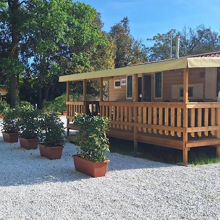 Mobile Home Viareggio - Including Airco- Camping Paradiso - G008 Екстер'єр фото